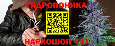 mdpv Бердск