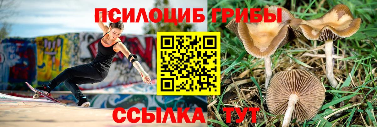 Ростов Великий  Галлюциногенные грибы ЛСД  Вход с VPN 