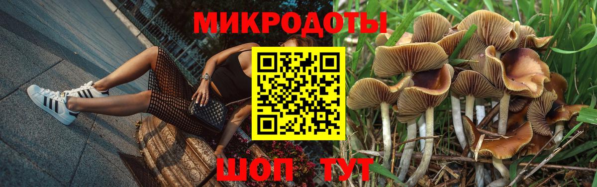Псилоцибиновые грибы Cubensis Ростов Великий